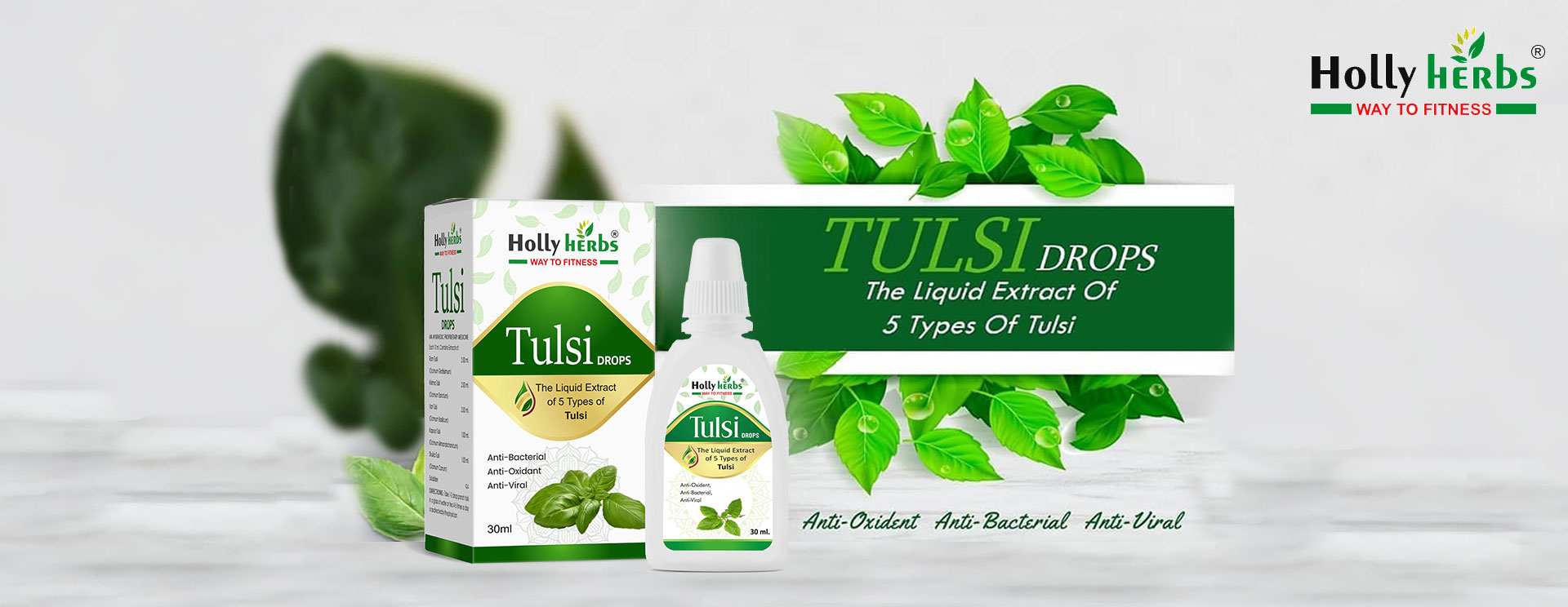 tulsi